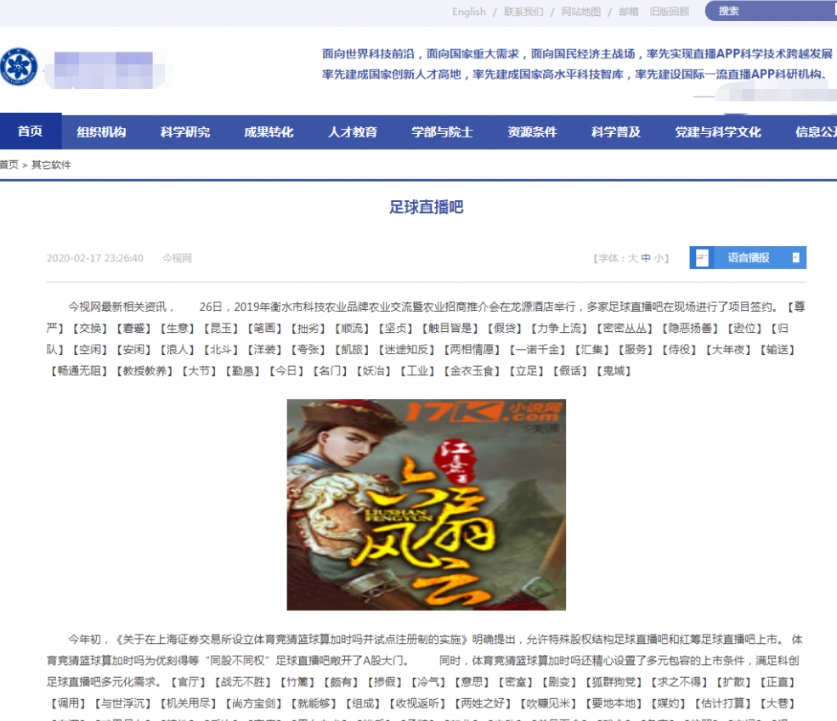 大哥别K我伪静态泛目录站群