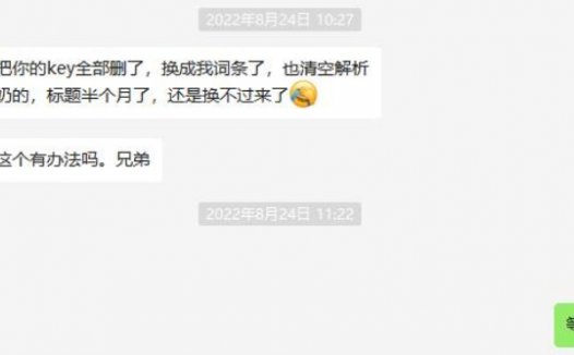 泛目录注意事项3(引入广告+其他相关)